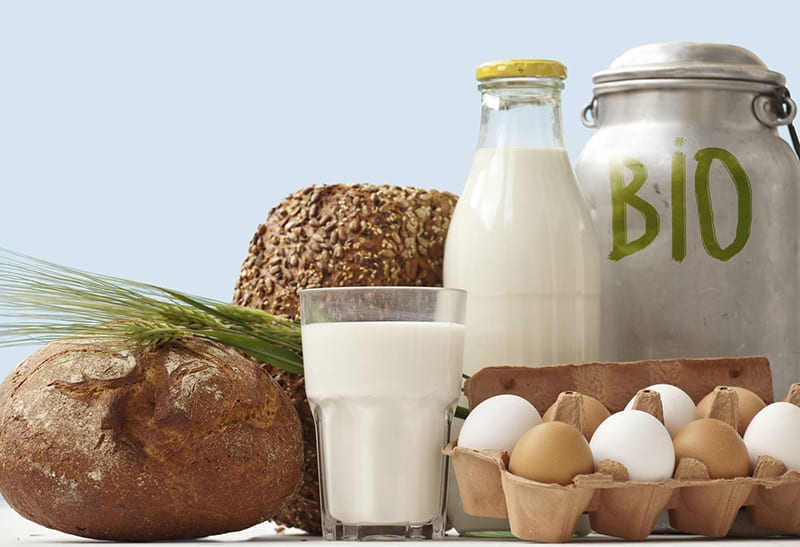 Биопродукты молочные РФ