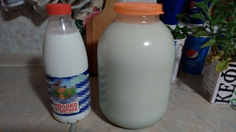 Молоко дома и в магазине