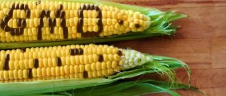 ГМО в продуктах