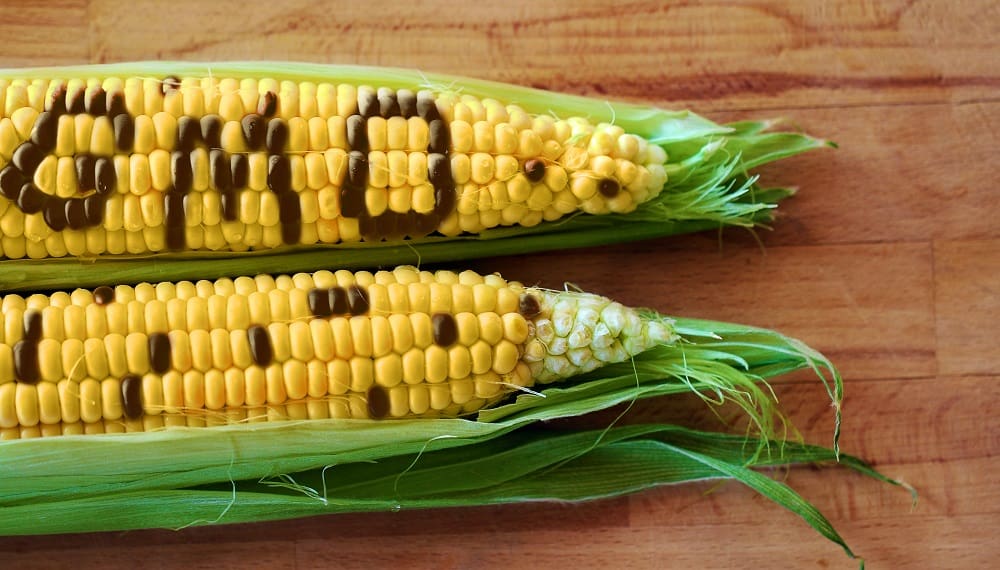 ГМО в продуктах