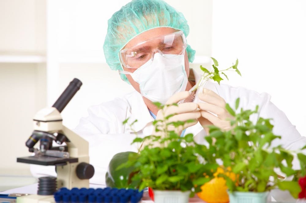 Исследование ГМО-продуктов