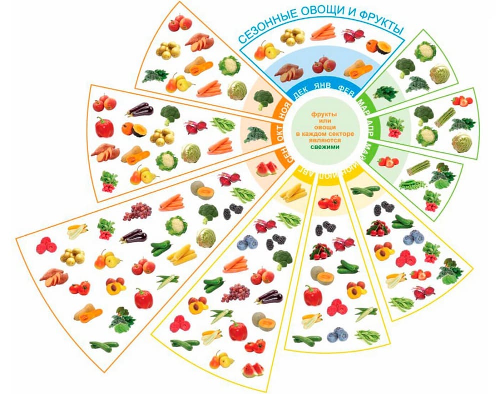 Сезонность овощей и фруктов